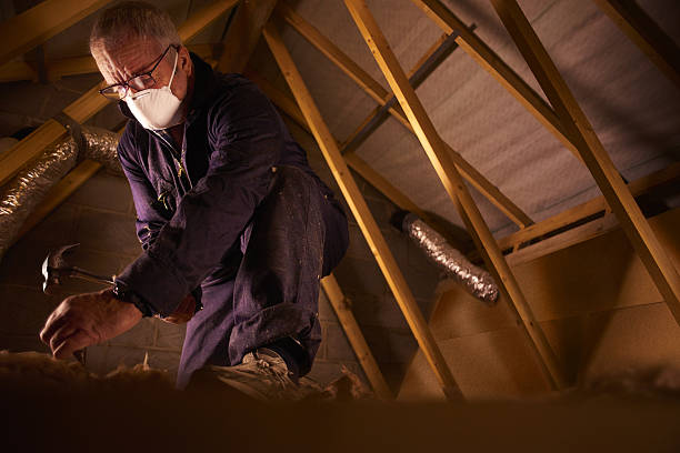 Best Specialty Insulation in Collierville, TN